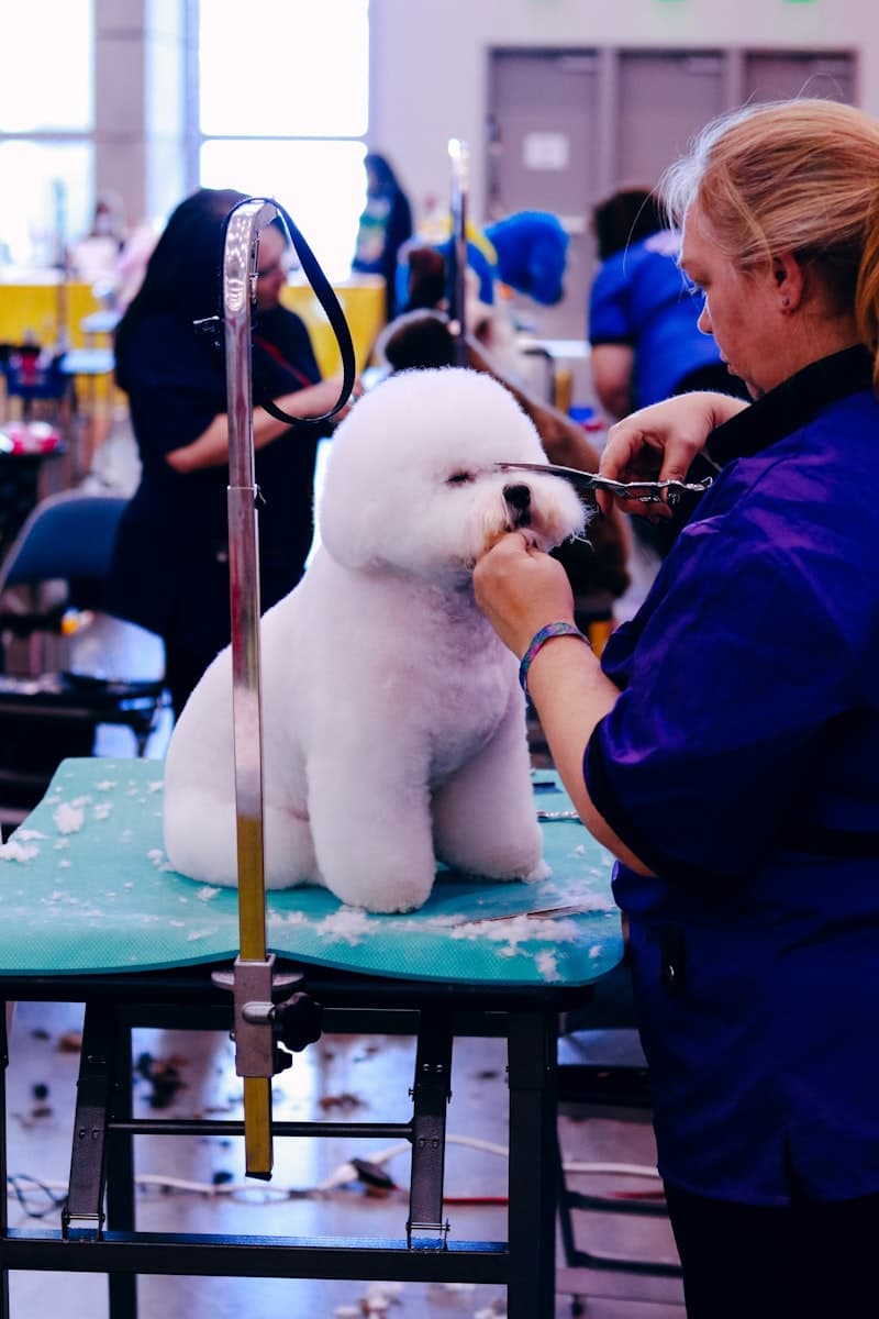 Pawfect Grooming 2
